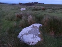 Goatstones G