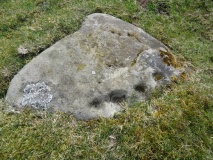 Greenlee Lough A