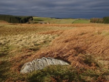 Heddon Hill