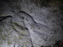 Lyham Moor 1