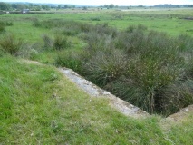 Middleton Bank Top 2b