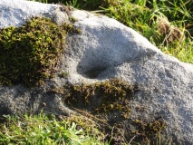 Millstone Burn 1b