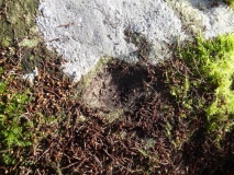 Millstone Burn N05