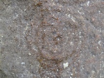 Morwick 1b