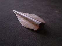 Wolf Hills Spearhead Find Site