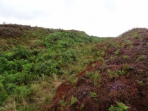 Old Bewick Hillfort