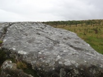 Old Bewick 1a