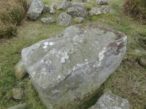 Old Bewick 1c