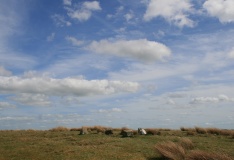 Goatstones Four-Poster