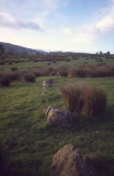 Slaggyford Stone Rows