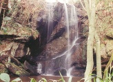 Roughting Linn - PID:1656 Roughting Linn - PID:1656