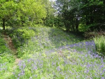 Roughting Linn Hillfort