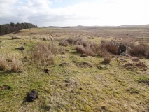 Simonburn