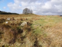 Simonburn