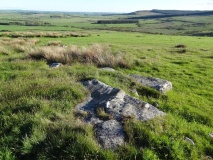 Snook Bank 6g