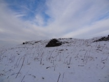 Tosson Burgh