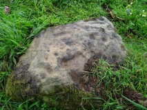 Alwinton/Newton/Clennell Cottages 2