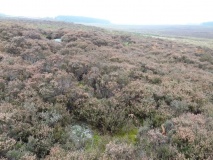 Weetwood Moor North B