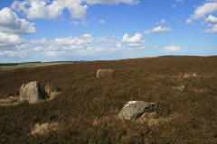 Whinny Hill Stone Circle