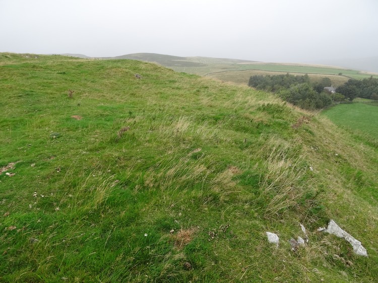 Gallow Law