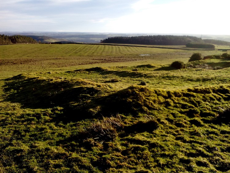 Walwick Fell, Northumberland | Megalithic Portal