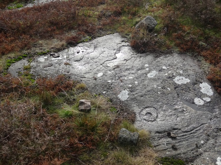 Weetwood Moor 2a