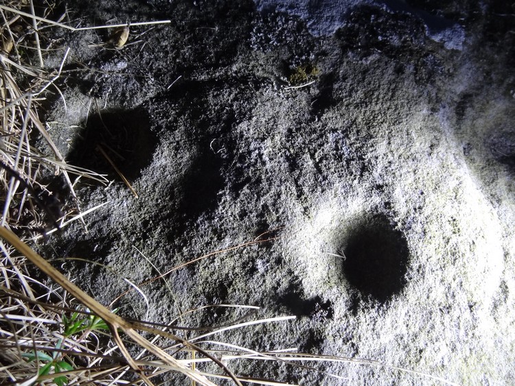 Cup with single ring and a simple cup-mark on Weetwood Moor 7 panel (photo taken on May 2013).