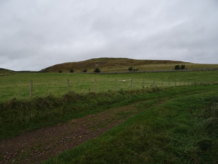 Gallow Law