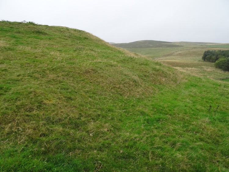 Gallow Law