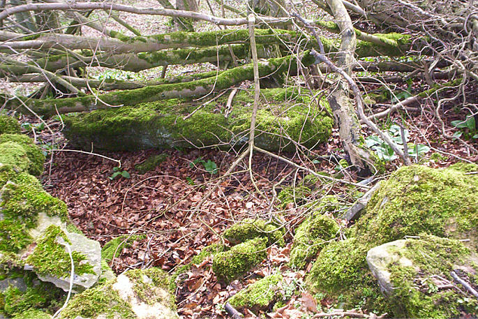 Burnt Hill Dolmen