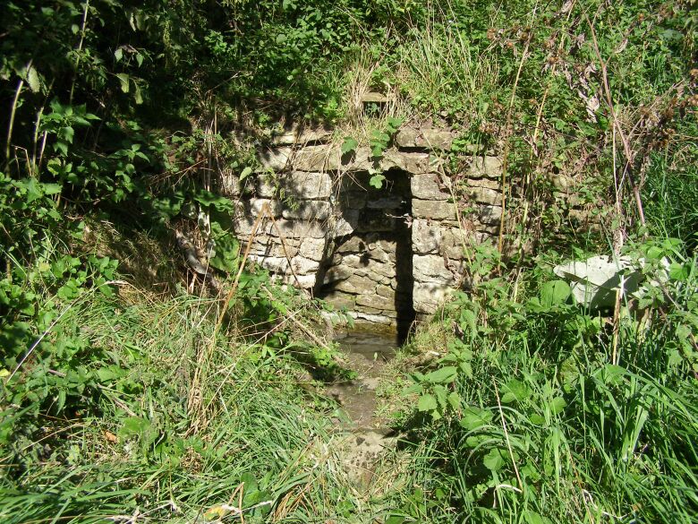 Badger's Well