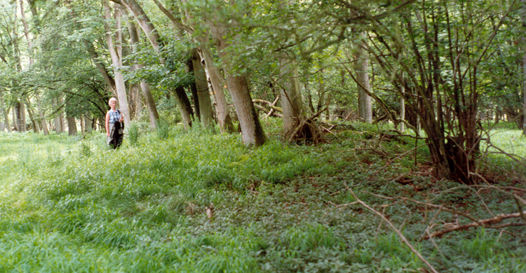 Click for the gallery page to add comments and vote (PID:31352) Churchill Copse