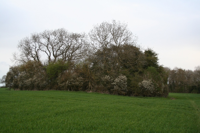 Burnt Hill barrow