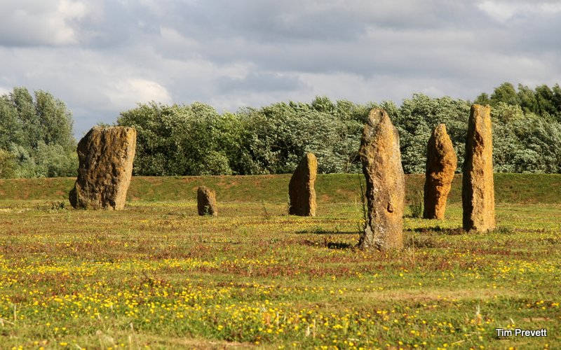 So many wild flowers.
The Devil's Quoits - a restored stone circle and henge in-situ. Quite how this escaped my radar for over a decade until the last month escapes me. So, a varied route across country on midsummer solstice-eve took me to this quite magnificent rebuild. The adjacent landfill tip is now moved so that it's more earth-intrusive operations are out of sight, the mound is greening ove