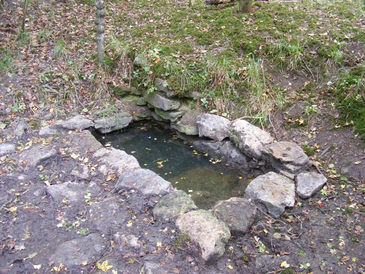 Click for the gallery page to add comments and vote (PID:81530) Physic Well (Cumnor)