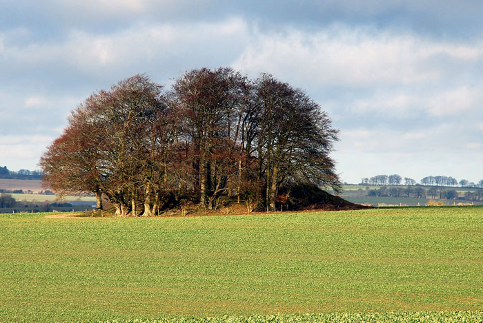Click for the gallery page to add comments and vote (PID:105612) Ridgeway