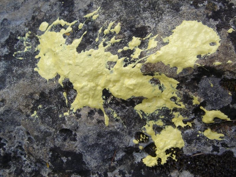 Rollright Stones Paint Damage