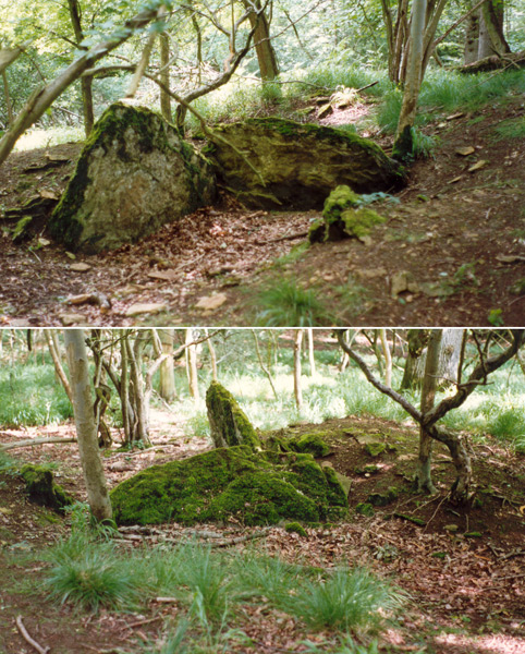 Click for the gallery page to add comments and vote (PID:31349) Slatepits Copse