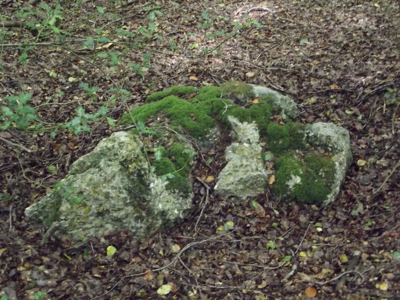 Click for the gallery page to add comments and vote (PID:171595) Stoke Row Puddingstone