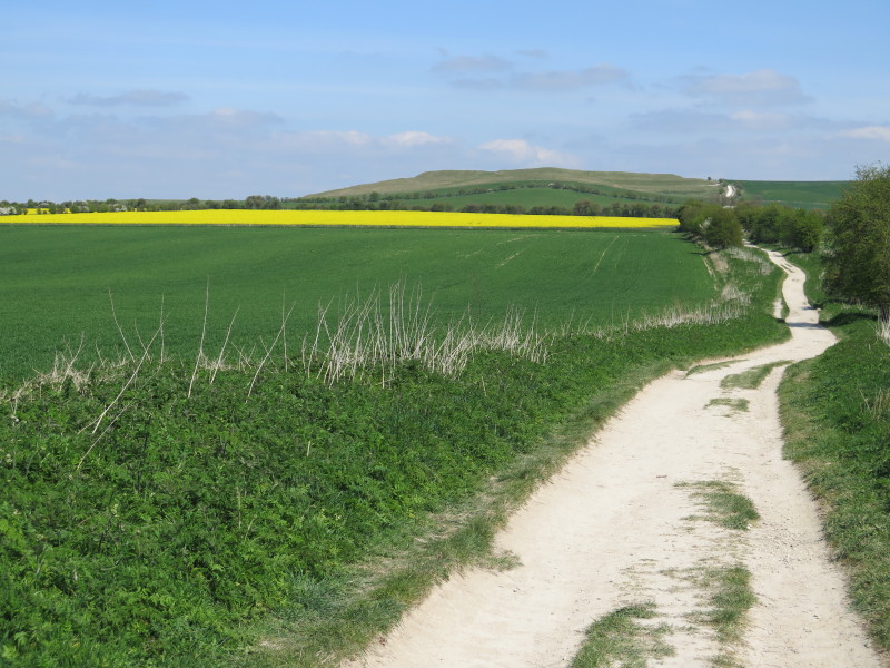 Click for the gallery page to add comments and vote (PID:132216) Ridgeway