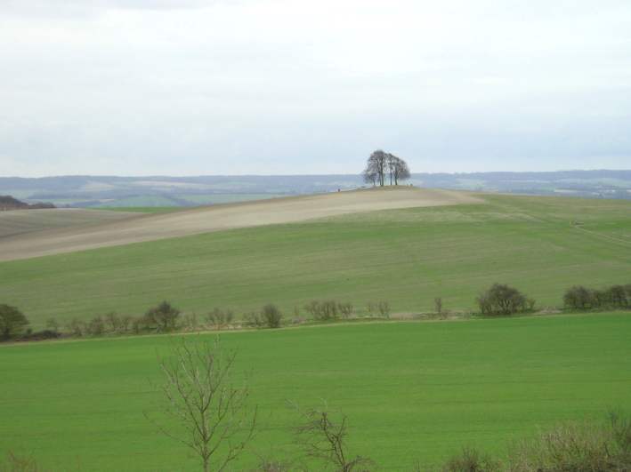 Click for the gallery page to add comments and vote (PID:5955) Brightwell Barrow