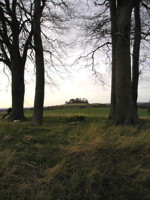 Brightwell Barrow