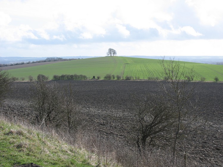 Brightwell Barrow