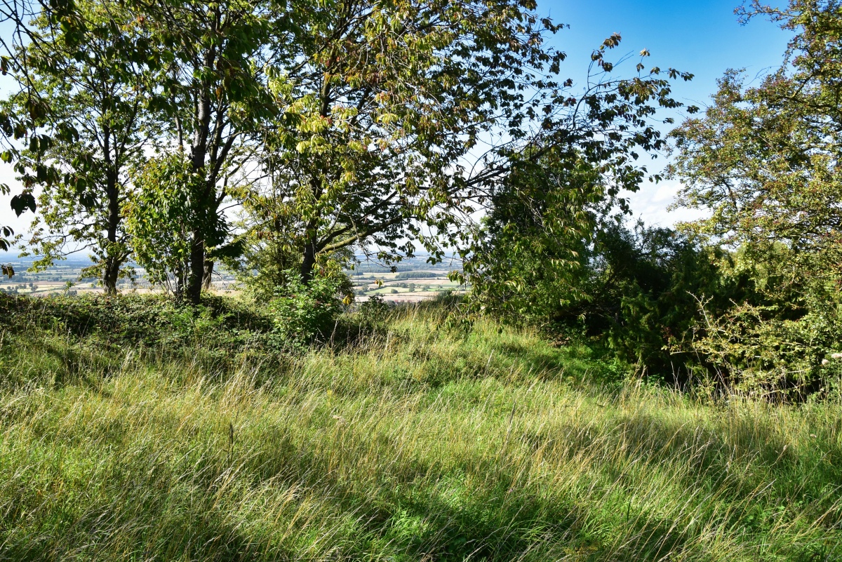 A view across the Chinnor Barrows. They are covered in vegetation but can be made out once found, and the picture also shows the fine views available from this site.