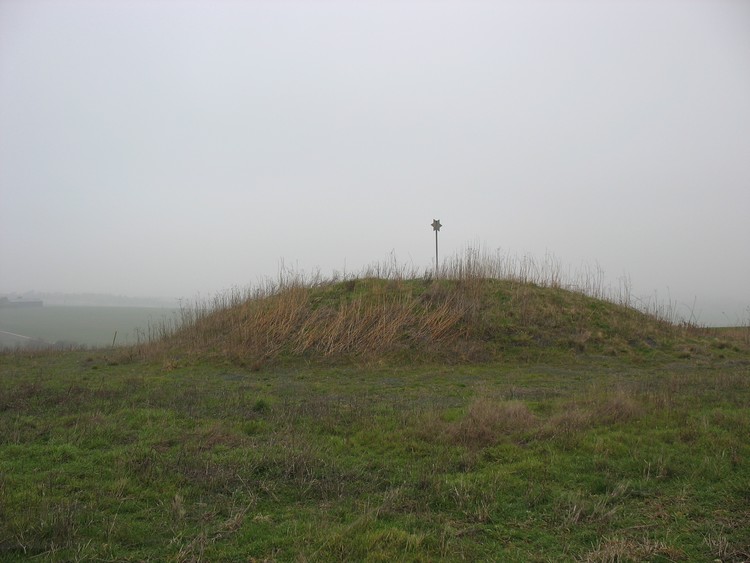 Churn Knob