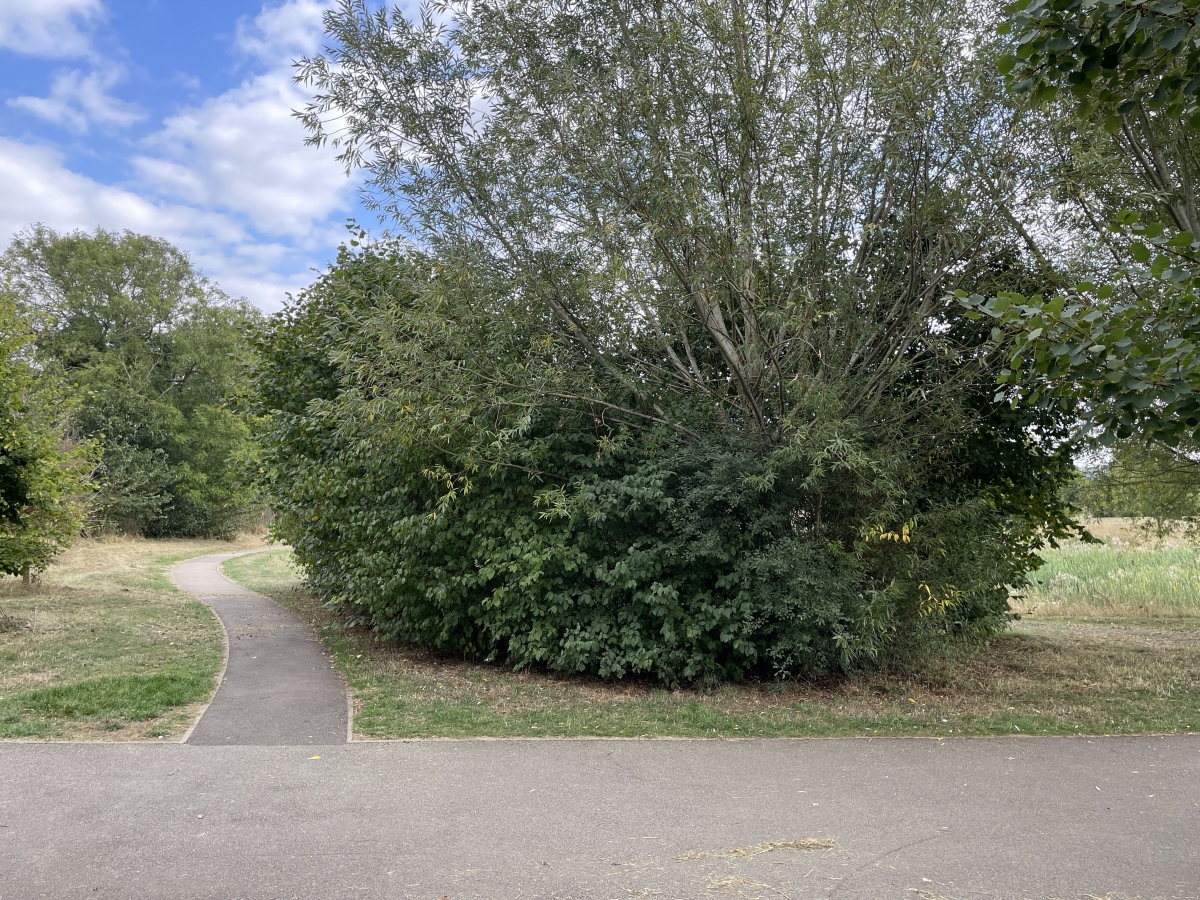 Bicester Burial Mounds