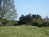 Lower Coxwell Camp - PID:52262