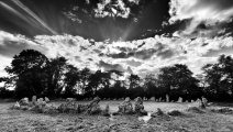 Rollright Stones - PID:260893