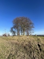 Brightwell Barrow - PID:254871