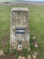 Lowbury Hill Camp - PID:255864